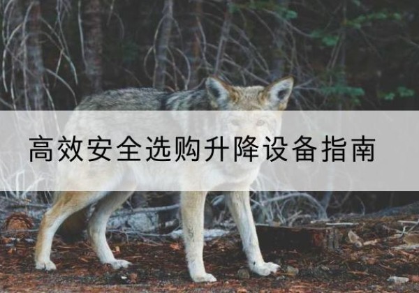 运城升降货梯厂家推荐-*安全选购升降设备指南