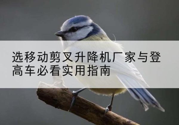 运城电动升降机厂家-选移动剪叉升降机厂家与登高车必看实用指南